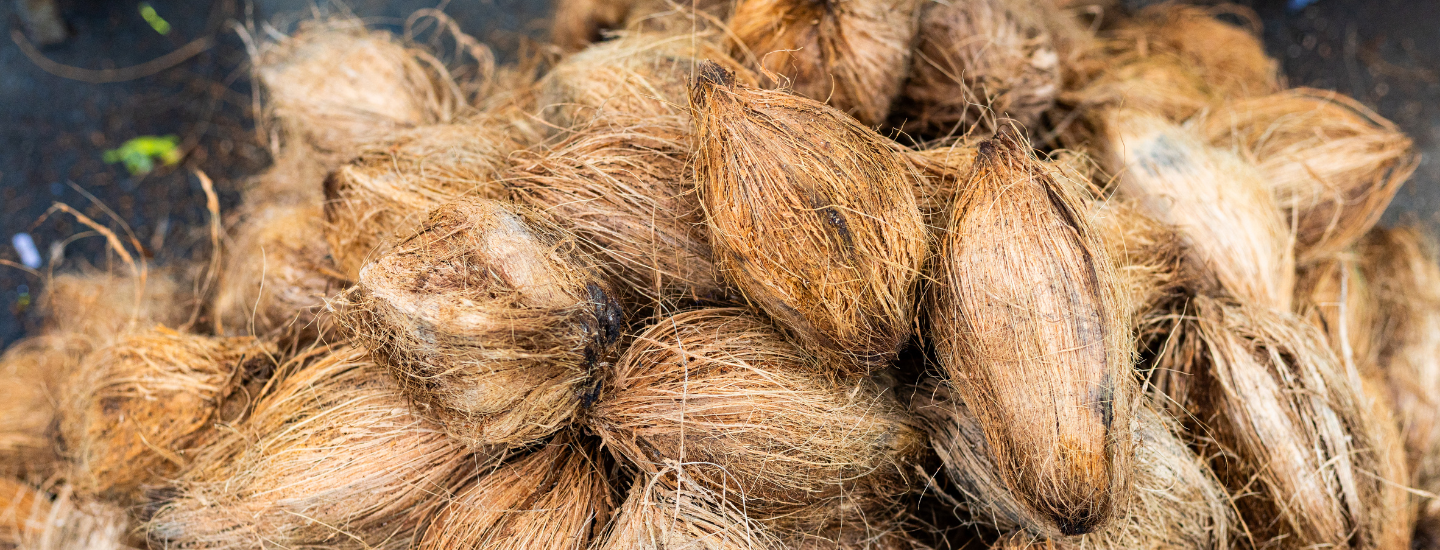 About NusaCoco Charcoal hero background